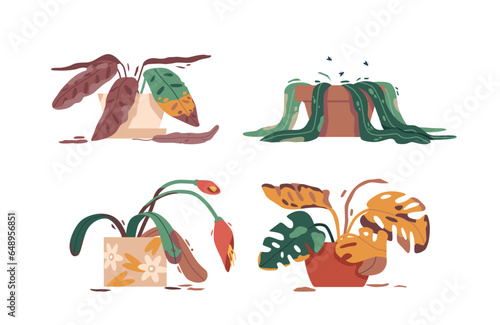 Set Of Neglected Houseplants, Drooping Leaves And Parched Soil, Portraying A Sad Scene Of Botanical Despair