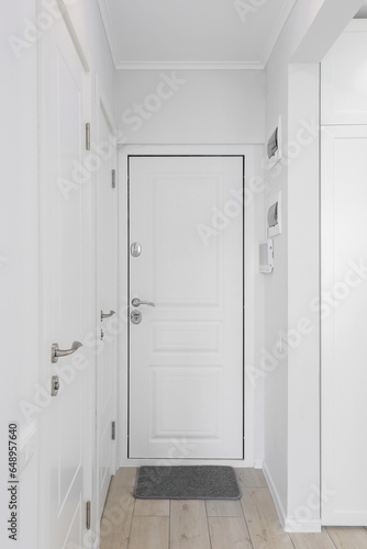 Entrance door inside an apartment in a modern interior