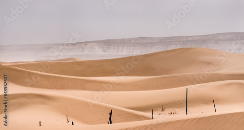 Sand dunes in the Senek desert in the Kazakh desert, desert sand texture for background photo