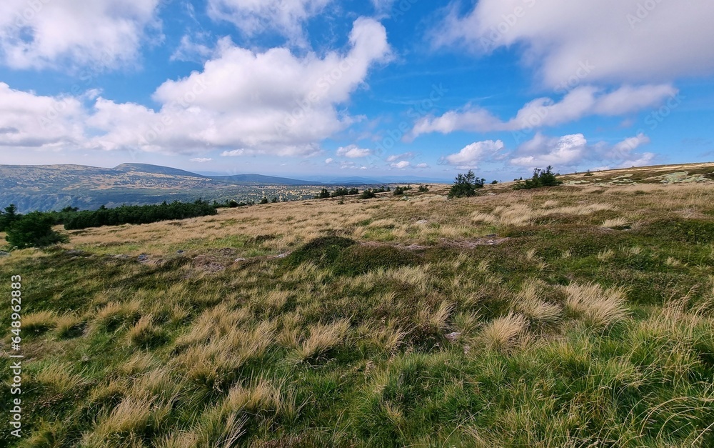 Fototapeta premium Beautiful meadows on the Karkonosze hills