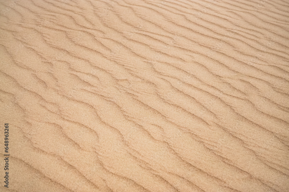 Sand dunes in the Senek desert in the Kazakh desert, desert sand texture for background Sand dunes in the Senek desert in the Kazakh desert, desert sand texture for background