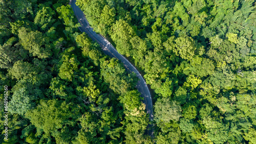 Fototapeta Naklejka Na Ścianę i Meble -  Aerial top view of road in forest.Winding road through the forest.Ecosystem ecology healthy environment road trip. Forest ecosystem and health concept and background, texture of green forest.