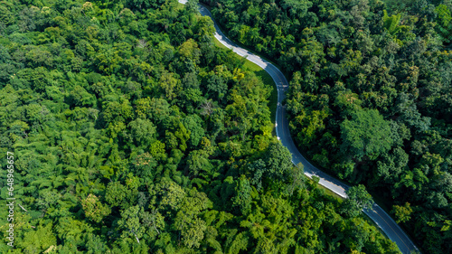 Fototapeta Naklejka Na Ścianę i Meble -  Aerial top view of road in forest.Winding road through the forest.Ecosystem ecology healthy environment road trip. Forest ecosystem and health concept and background, texture of green forest.