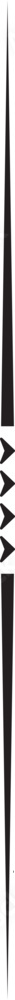 Vertical divider line Vertical divider line