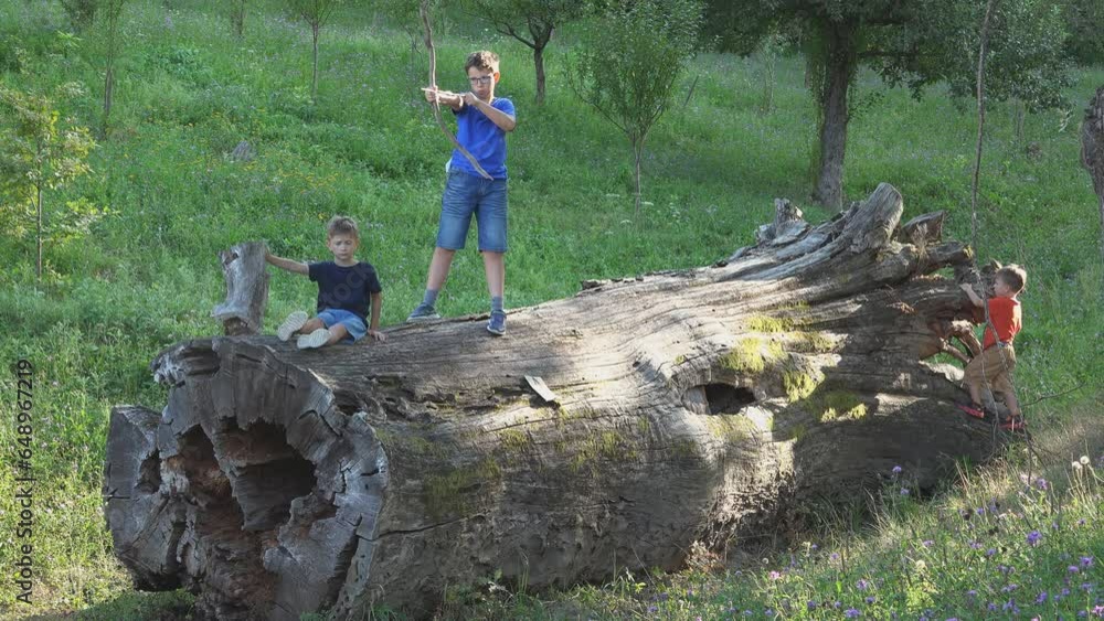 Three siblings play on a big tree log in the forest Three siblings play on a big tree log in the forest
