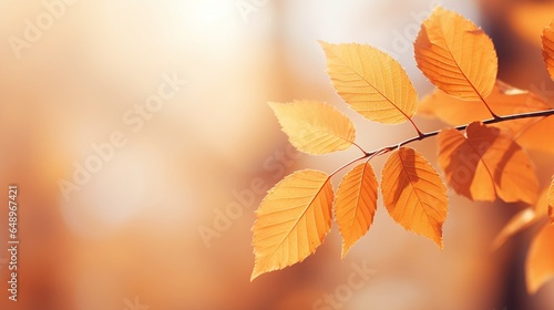 Autumn background. Light and Soft bokeh. Generative AI