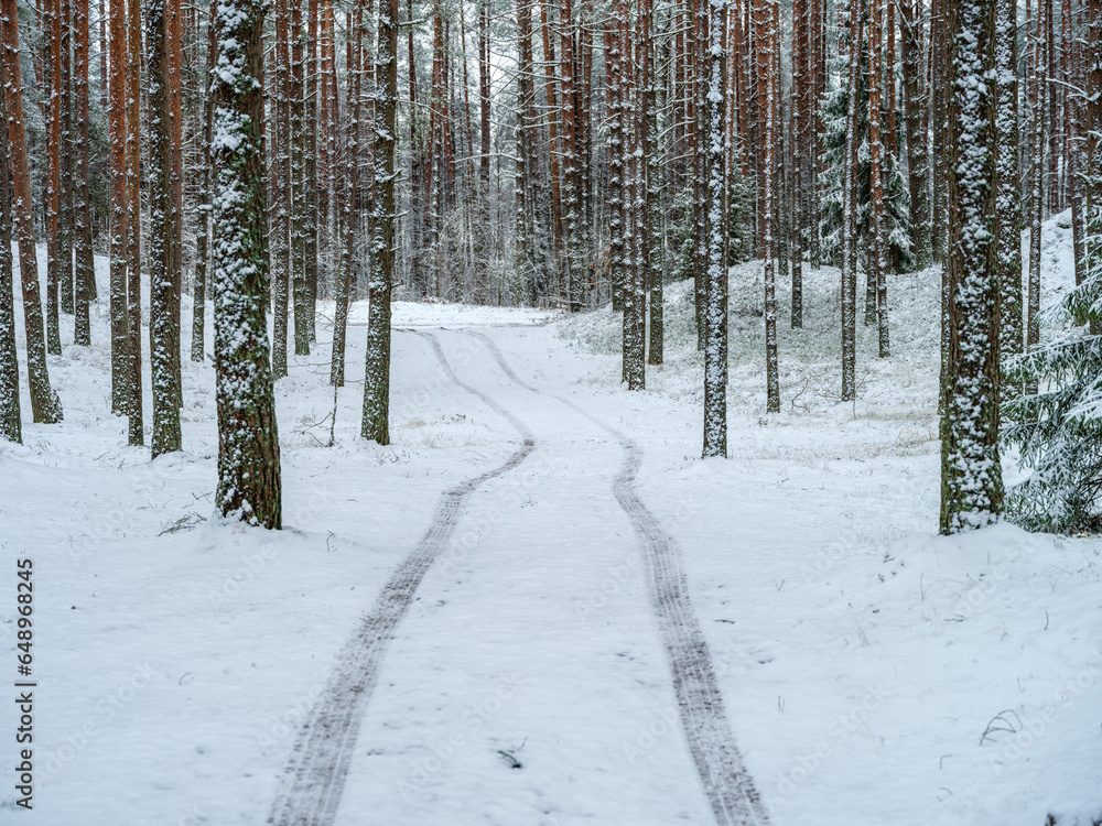 Fototapeta premium countryside landscape in cold winter day