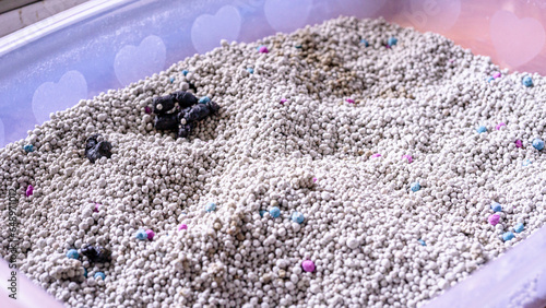 Cat sand, cat poop, in the litter box, plastic