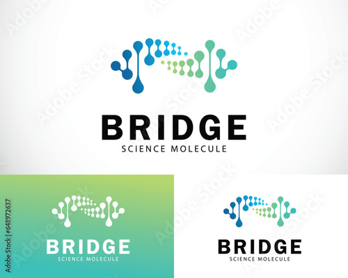 bridge logo creative connect business design concept science molecule