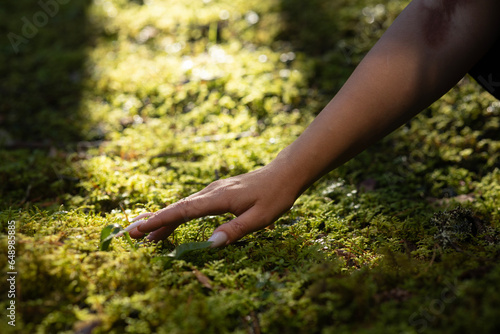 Closeness to nature. Woman's hand and moss