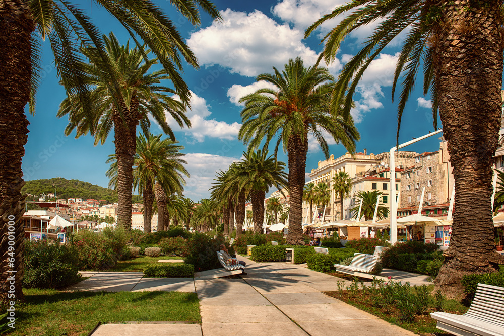 Palm alley in Split