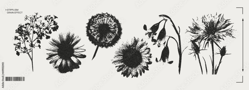 Fototapeta premium Trendy elements with a retro photocopy effect. y2k elements for design. Flowers, chamomile, sunflower, dandelion. Grain effect and stippling. Vector dots texture.