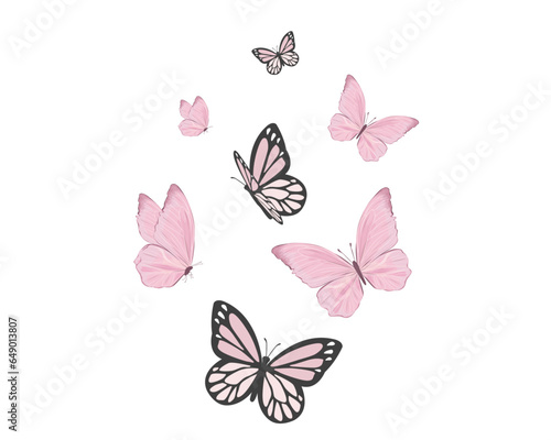 watercolor pink butterfly on white background butterflies silhouettes	