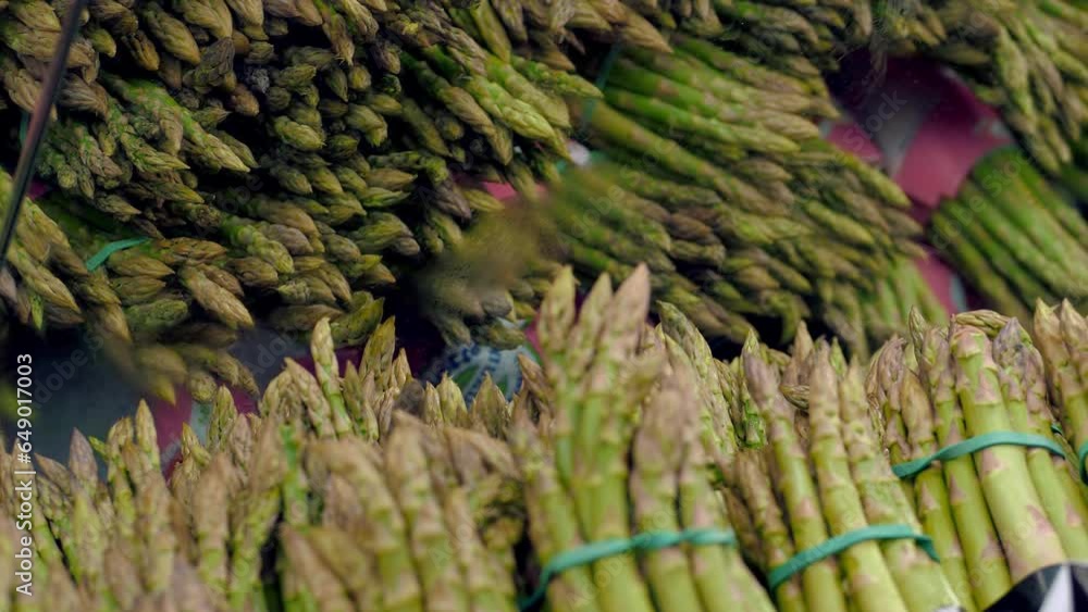 asparagus in supermarket. edible asparagus. grocery supermarket