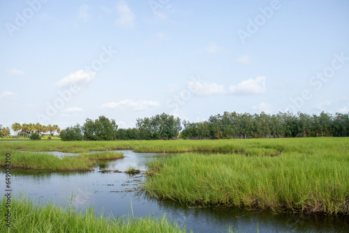 A serene image of a serene countryside landscape, with a beautiful field stretching out towards a small lake, all under a cloudless blue sky.