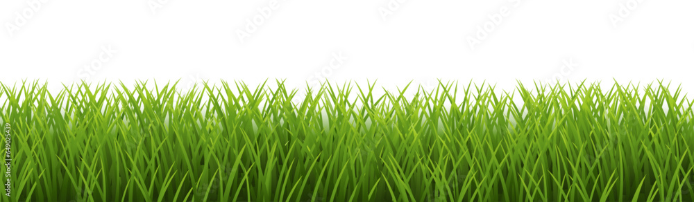 Obraz premium green grass isolated on white