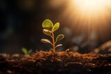 a young plant's journey through light and soil, generative AI