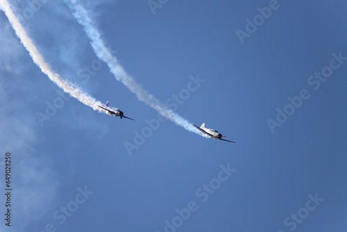 Obraz na płótnie Duo dans les airs w salonie