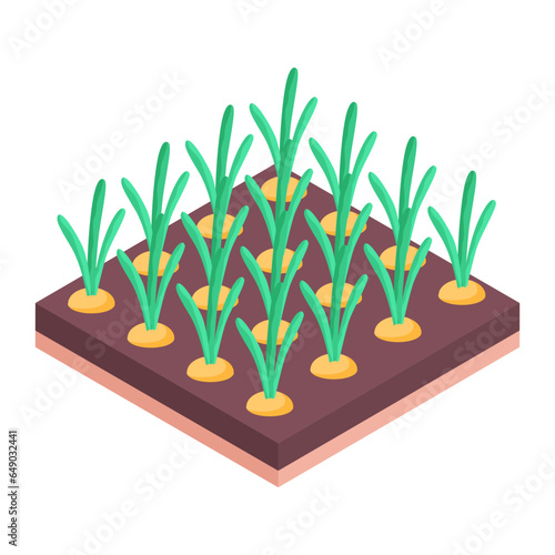 Check farm crops isometric icon 