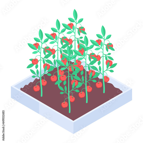 Check farm crops isometric icon 