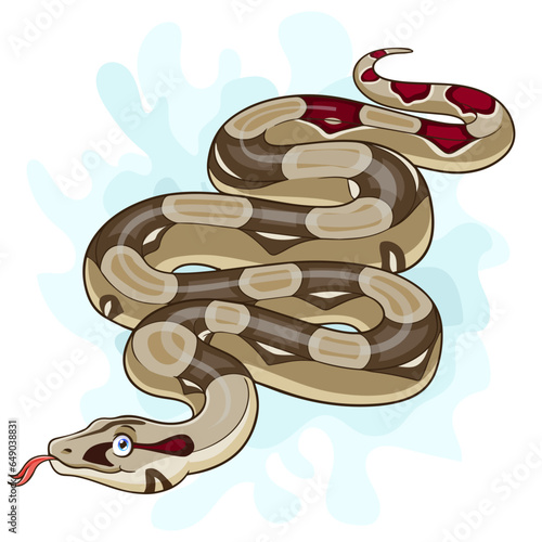 Cartoon Boa constrictor snake isolated on white background