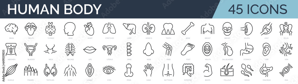 Set of 45 outline icons related to human body, anatomy. Linear icon collection. Editable stroke. Vector illustration - obrazy, fototapety, plakaty 