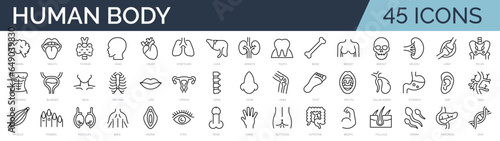 Set of 45 outline icons related to human body, anatomy. Linear icon collection. Editable stroke. Vector illustration