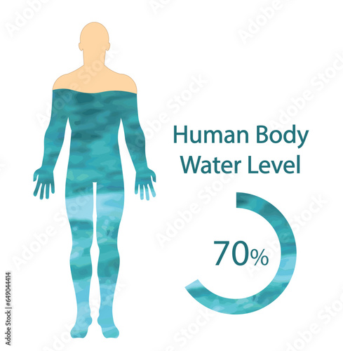 Human body water level illustration. 70% of a man illustration covered by a water draw