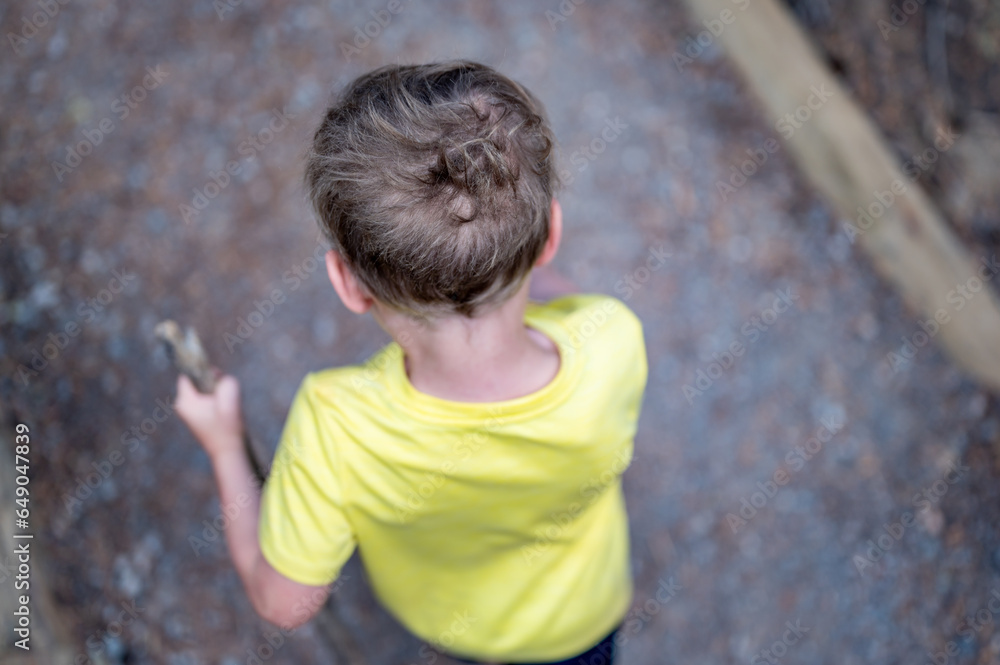 Above view of a Caucasian boy going hiking with a walking stick Above view of a Caucasian boy going hiking with a walking stick