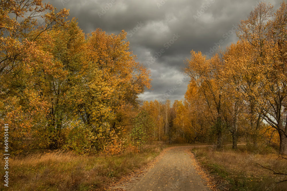Dirt road among autumn yellow trees and dramatic weather