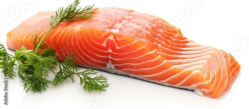 Closeup of fresh salmon slice with ingredients on white background with copyspace for text