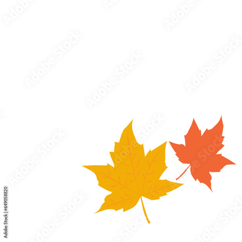 Autumn leaves , isolated on white background