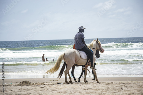 horse on the beach, assinie ivory coast © adatheartist