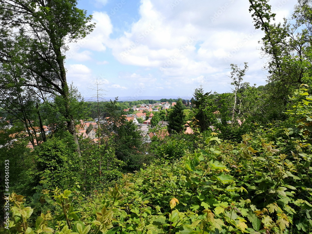 Obraz na plátně Blick vom Philosophenweg hinab ins Tal auf Häuser und Dächer im Sommer bei blaue