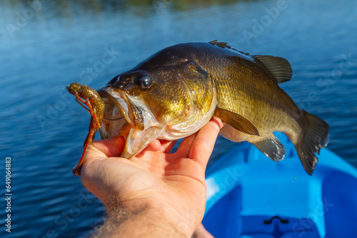 Holding great catch bass, selective focus copy space image.