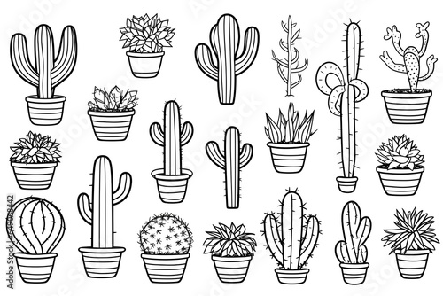 Different cactus in pots