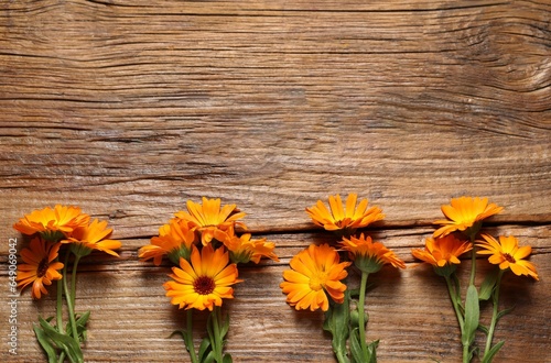 Beautiful fresh calendula flowers on wooden table, flat lay. Space for text
