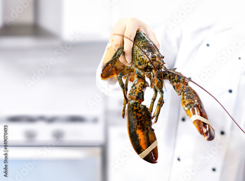 fresh lobster at the seafood market, hand chef holding fresh lobster, with copy space