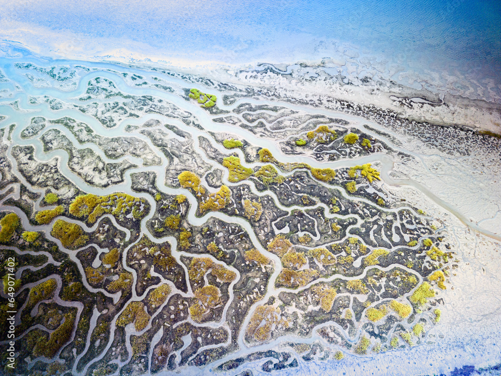 Colorful Wetlands pattern from above