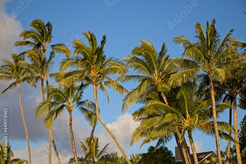 Taking a sunset dip at Tunnels and Ha'ena Beaches, located at the end of Kuhio Highway in Kauai, Hawaii.