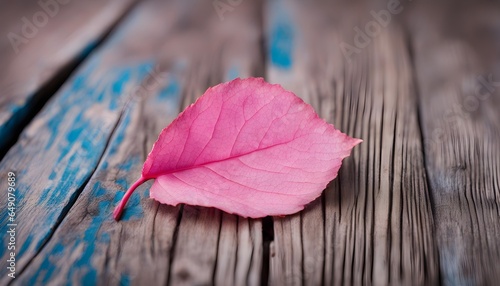 Pink dry leaf on a old wooden background