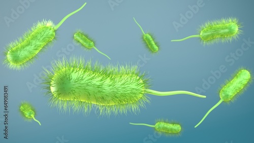 bacteria bacillus 3d illustration render. prokaryote microorganism with flagellum that can be used to represent microbiology cell probiotics and pathogen cells such as lactobacillus or salmonella photo