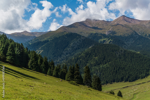 Gorge in the Tien Shan mountains