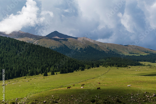 Gorge in the Tien Shan mountains