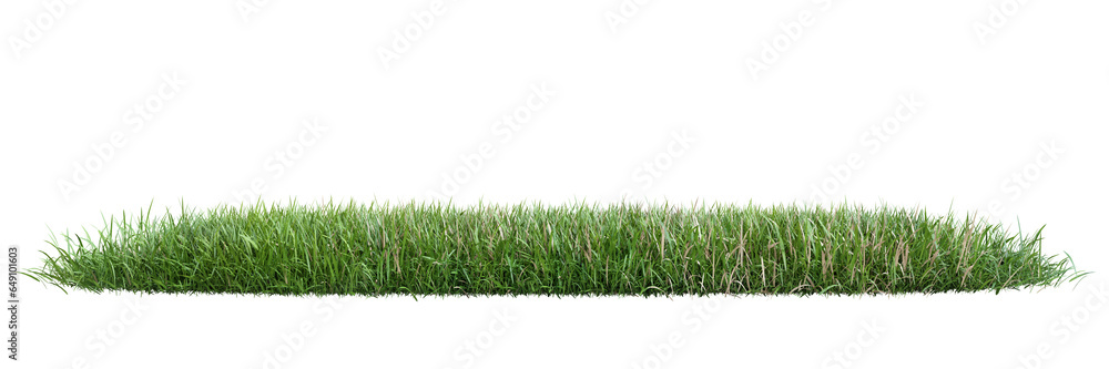 Green grass on transparent background 3d rendering png. Green grass on transparent background 3d rendering png.
