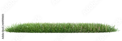 Green grass on transparent background 3d rendering png.