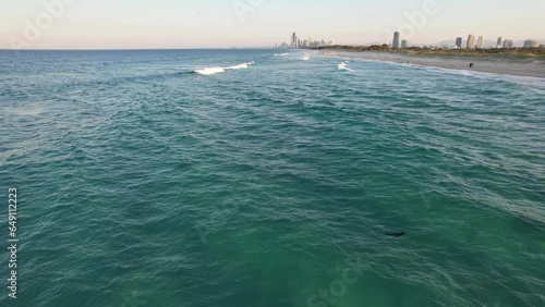 The Spit Sandy Strip With A Beach - Baby Seal Swimming In The Wavy Water. - aerial photo