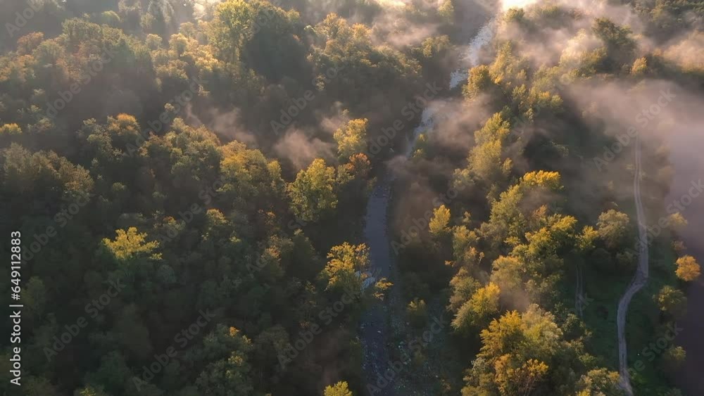 river in forest with mist at golden hour in morning, aerial drone bird zenithal view, hill and mountain in background, tuscany, italy, europe. river in forest with mist at golden hour in morning, aerial drone bird zenithal view, hill and mountain in background, tuscany, italy, europe.