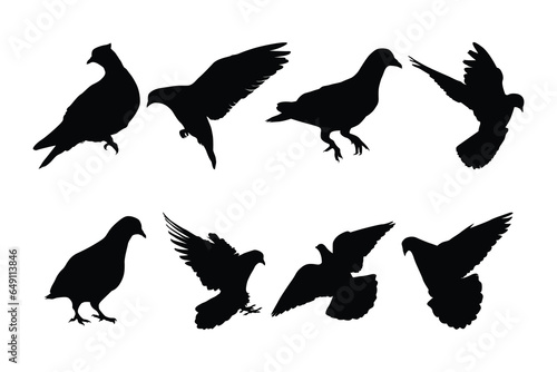 set of pigeon logo vector silhouette