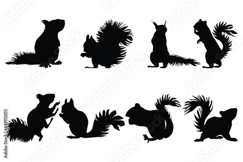 set of squirrel logo vector design silhouette